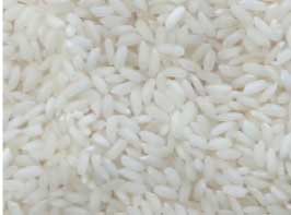 Ponni Rice Manufacturer Supplier Wholesale Exporter Importer Buyer Trader Retailer in Nagpur Maharashtra India